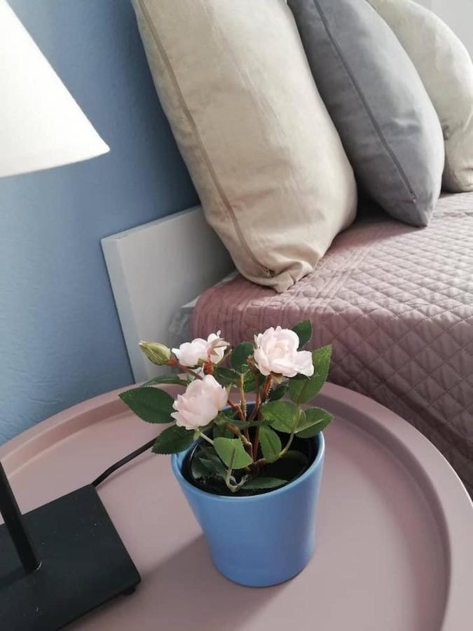 The Rose Apartment Wolos Zewnętrze zdjęcie